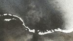 [Livre] L’arbre monde